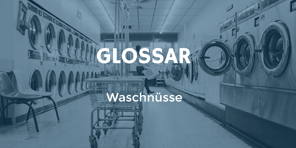 Waschnüsse als alternatives Waschmittel