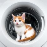 Waschmaschine mit Tierhaarentfernung
